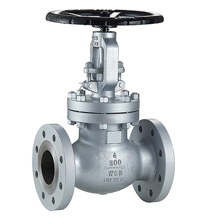 Globe Valve