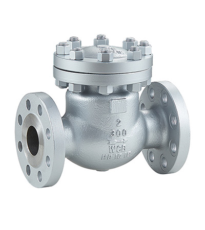 Check Valve
