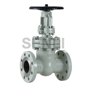 Stainless steel gate valve