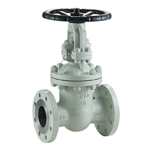 DIN standard gate valve