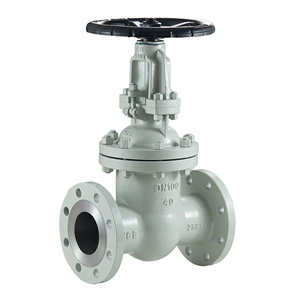 Gate valve