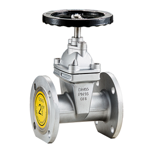 Soft seal gate valve