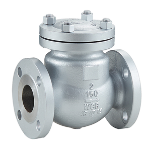 American Standard Check Valve