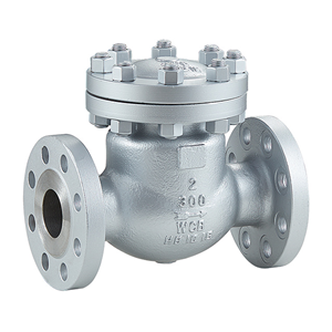 American Standard Check Valve